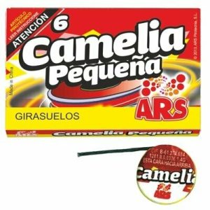 Camelia Pequeña (6) - Girasuelos